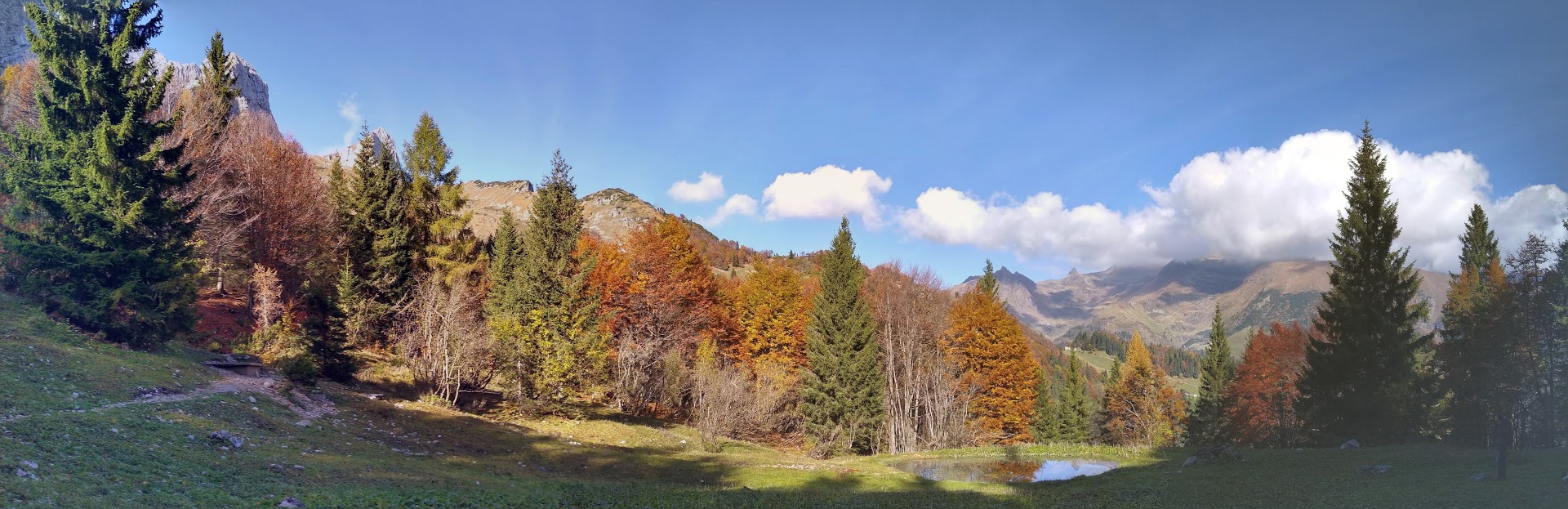 Autorizzazioni paesaggistiche e forestali